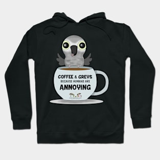 Coffee & African Greys! Hoodie